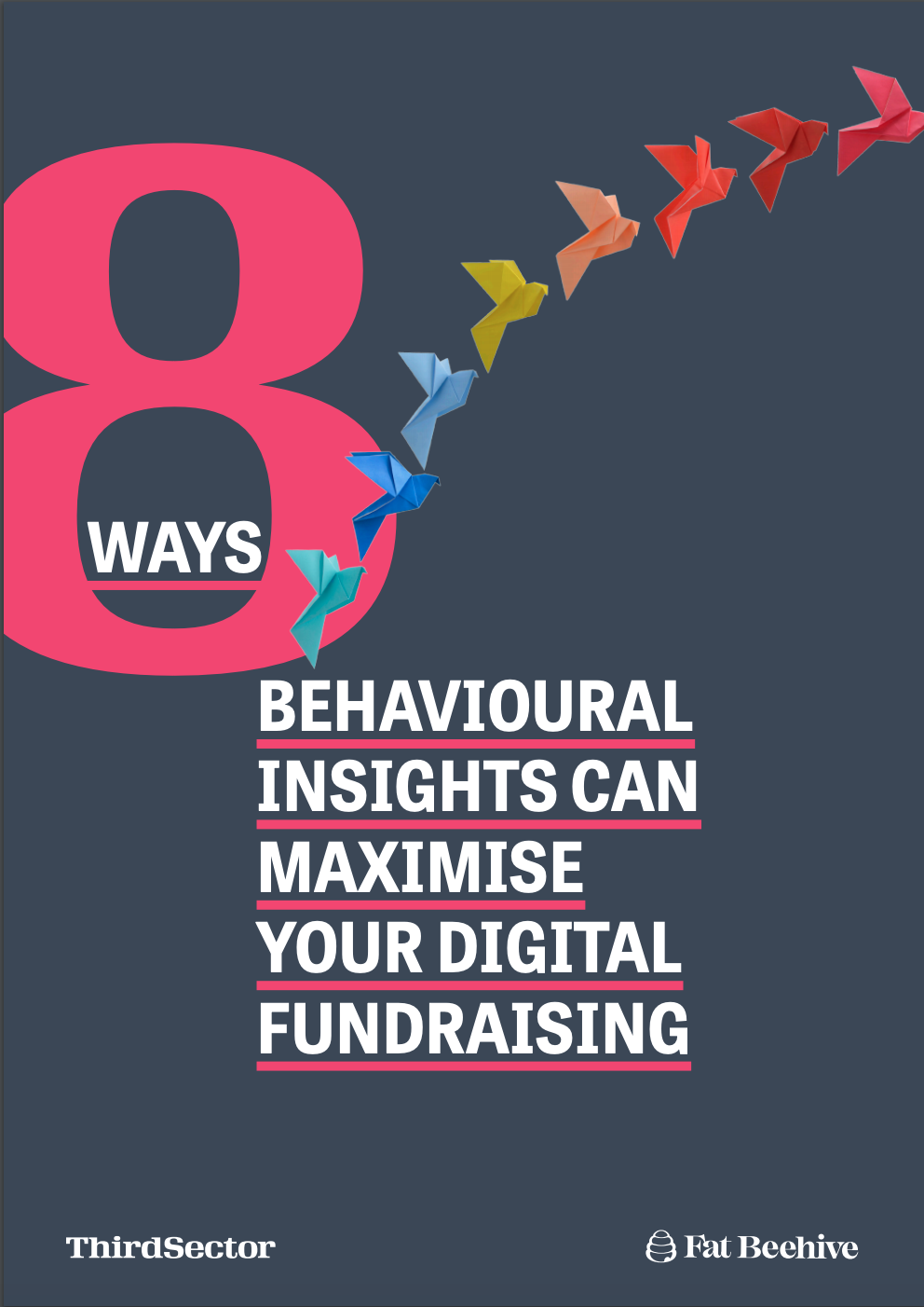 The cover of the '8 ways behavioural science can maximise your digital fundraising' report
