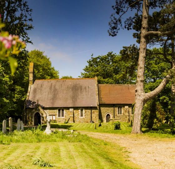 A church set among trees