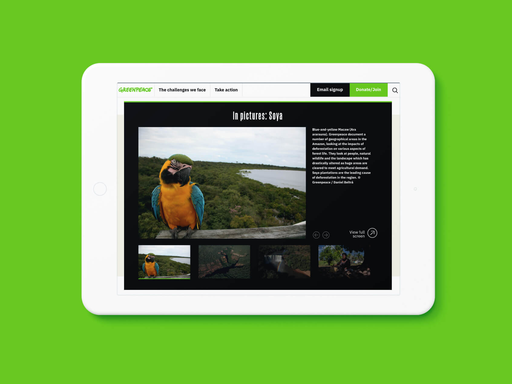 A Greenpeace UK website gallery about the Soya industry