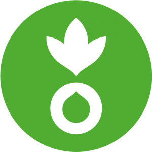 Action Against Hunger logo on green background