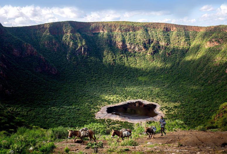 A man walking his donkeys around the edge of a lush green extinct volcano in Ethopia.