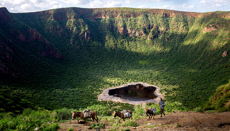 A man walking his donkeys around the edge of a lush green extinct volcano in Ethopia.