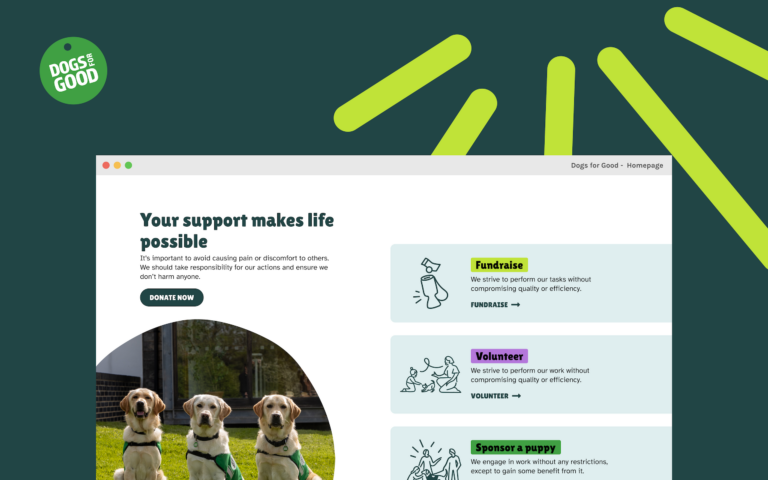 Three golden Labrador assistance dogs sitting on grass wearing green harnesses from charity Dogs for Good