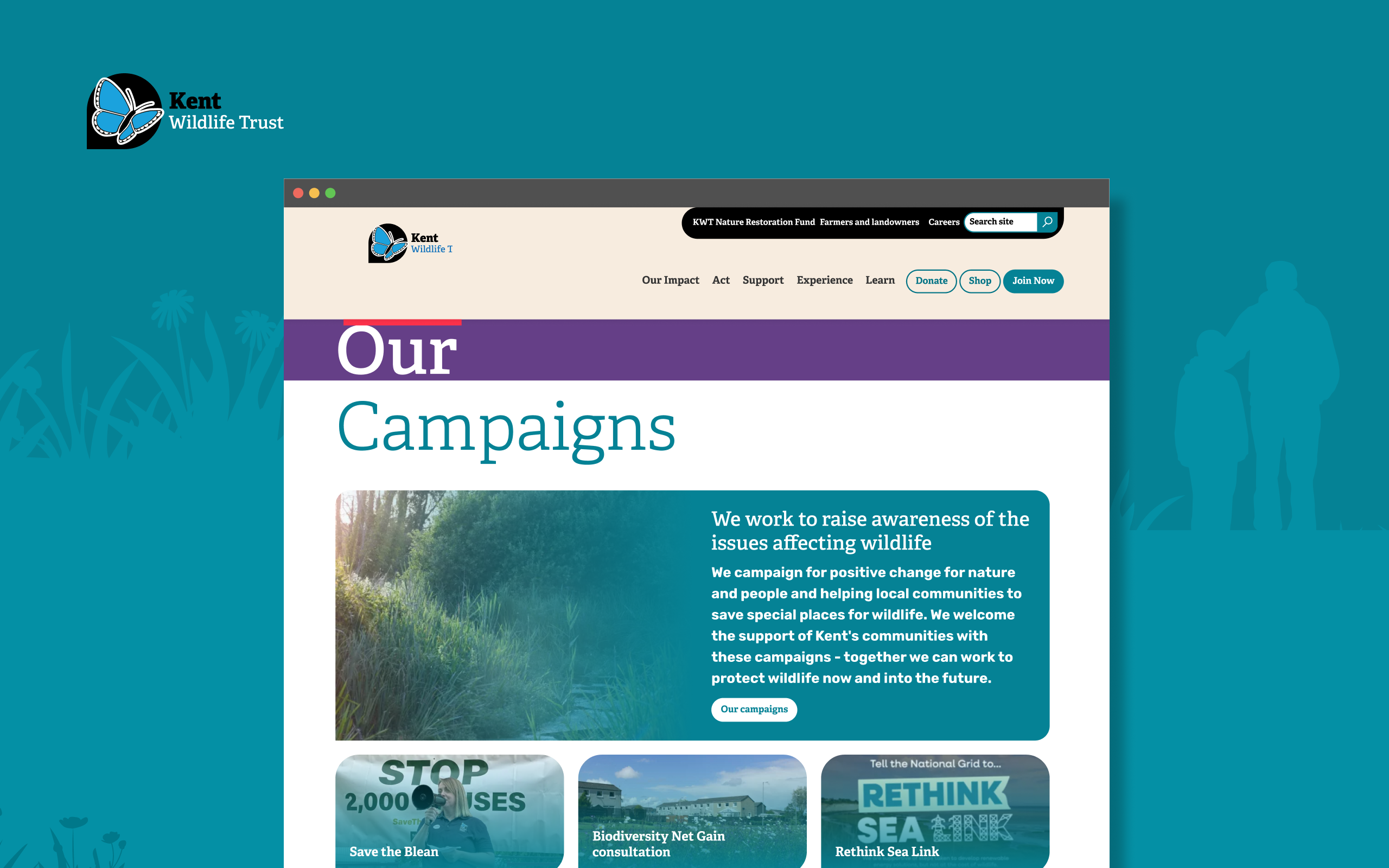 A screenshot of the Kent Wildlife Trust website showing the 'Our Campaigns' page, featuring navigation links, a nature image with campaign text, and campaign cards including 'Save the Blean', 'Biodiversity Net Gain consultation', and 'Rethink Sea Link'.