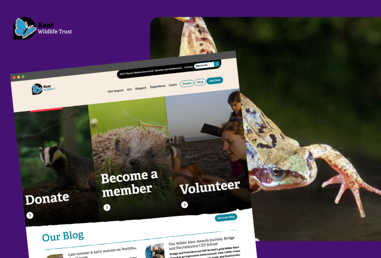 A promotional mockup of the Kent Wildlife Trust website displayed on a browser, featuring images of a badger, hedgehog, and volunteers with calls to action for donating, becoming a member, and volunteering, set against a purple background with a close-up photo of a frog.